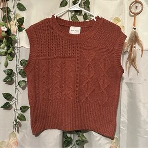 Pink Rose Women's Cropped Knit Sweater Vest in Rust